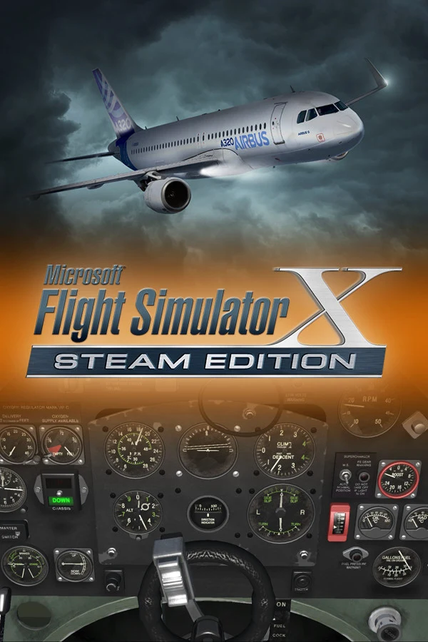 Microsoft Flight Simulator X
