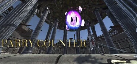 PARRY COUNTER cover