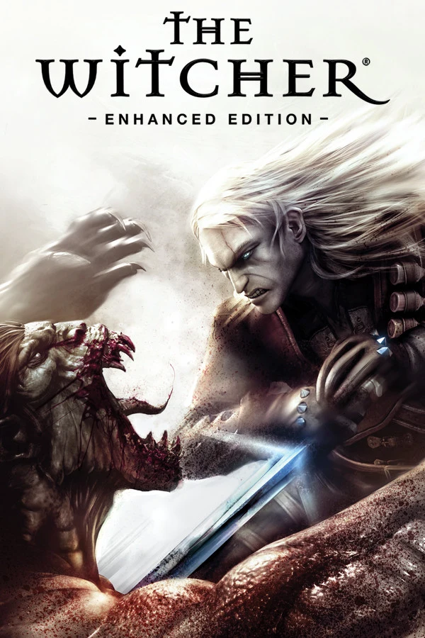 The Witcher cover