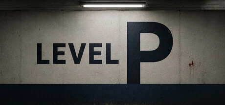Level P cover