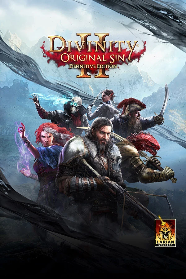 Divinity: Original Sin 2 cover